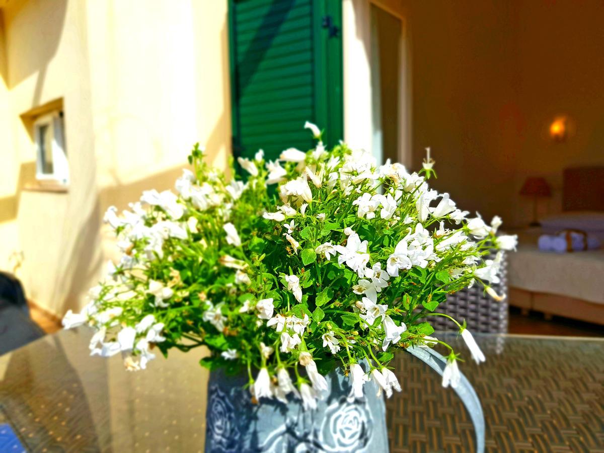 Medulic Palace Rooms & Apartments Šibenik Екстериор снимка